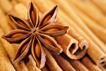 Anise star on cinnamon sticks