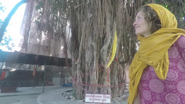 Caucasian woman pilgrim walks around a sacred banyan tree, smiling, smooth tracking shot, with temple in background, four times slow motion, 2K resolution, in India.