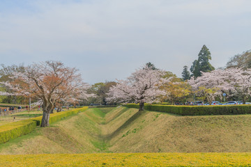 Fototapeta na wymiar 春の佐倉城跡の角馬出の風景