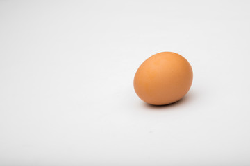 eggs in white background