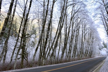 A Street in December