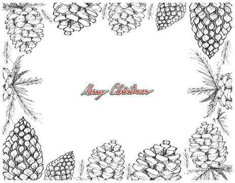 Hand Drawn Row of Pine Cone Frame