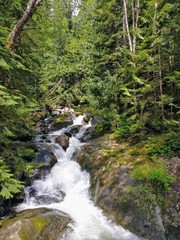 Pacific Northwest waterfall