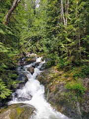 Pacific Northwest waterfall