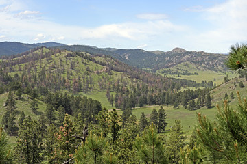 Naklejka premium Black Hills Panorama in Summer