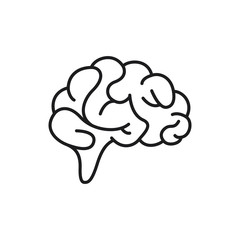 Silhouette of the brain on a white background
