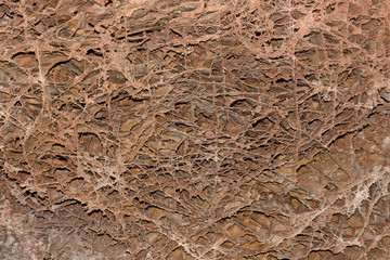 Boxwork Formations in a Cave Ceiling