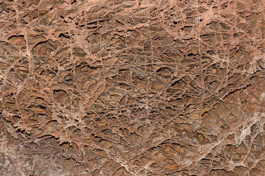 Boxwork Formations in a Cave Ceiling