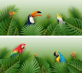 Tropical plants leaves banner with birds © ekyaky