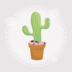 cactus in pot design