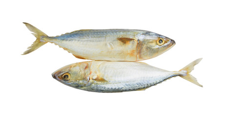 Fresh mackerel isolated on white background with clipping path.
