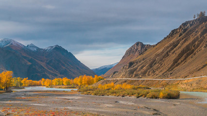 Golden autumn in Altai mountains