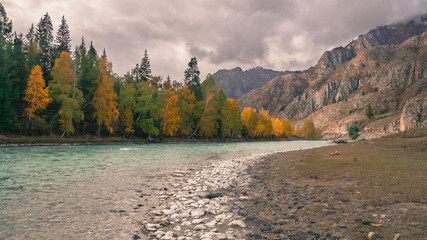 Golden autumn in Altai mountains