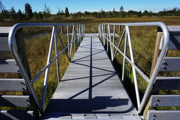 Landscape views of the swamplands of the Florida Everglades