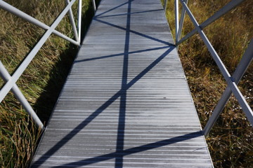 Landscape views of the swamplands of the Florida Everglades