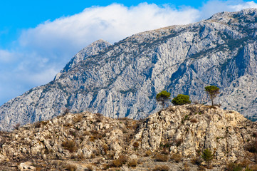 Fototapeta na wymiar Adriatic coastal region in Dalmatia, Croatia with white, rocky mountains