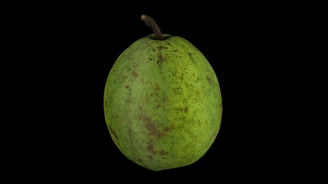 Realistic render of a rotating guava on black background. The video is seamlessly looping, and the 3D object is scanned from a real fruit.
