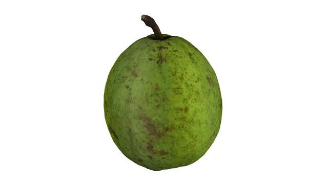 Realistic render of a rotating guava on white background. The video is seamlessly looping, and the 3D object is scanned from a real fruit.
