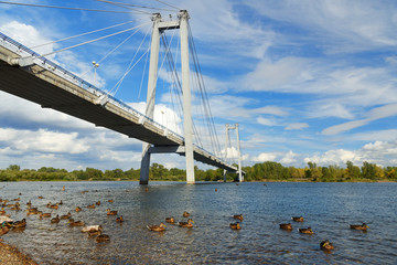 Vynogradovskiy Bridge across the Yenisei river. Cable-stayed bridge to Tatyshev island. Krasnoyarsk, Russia