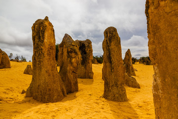 Landscape view of the limestone pinnacles in the Pinnacles National Park, Cervantes, Western Australia