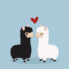 alpaca couple in love © focus_bell