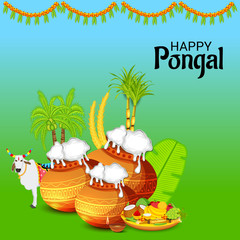 Happy Pongal