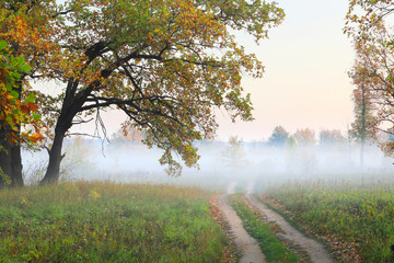 Autumn sunrise in the grove on the riverbank