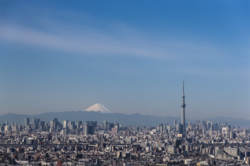 Tokyo city view , Tokyo sky tree with Tokyo downtown building and Winter Mountain fuji in background