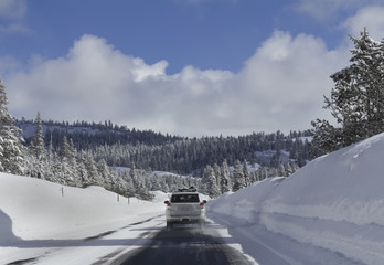 Driving in snow forest