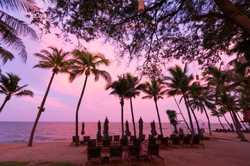 Twilight in tropical palm beach 