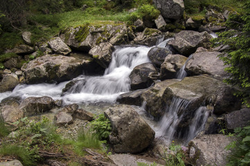 Fototapeta premium Wild water, stream Maly studeny potok in High Tatras, summer touristic season, wild nature
