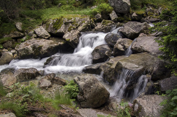 Fototapeta na wymiar Wild water, stream Maly studeny potok in High Tatras, summer touristic season, wild nature