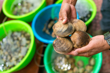 Shellfish raw sea food at Asian street Seafood market in Vietnam