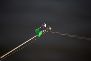 The fishing rod stands on the river bank