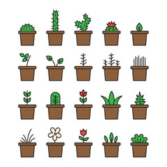 Set floral plants and blooming cactus in pots isolated on white background