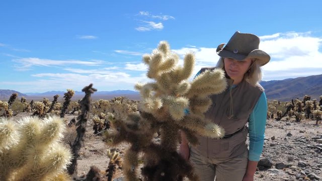 Travel Woman In Hat Look The Cholla Cactus In Joshua Tree Park