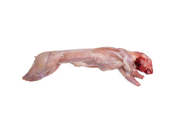 raw whole rabbit meat isolated in white