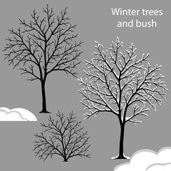 Winter trees set - bare tree, snowcovered tree and bush.