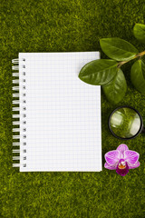 Notebook, magnifier,orchid and green leaves