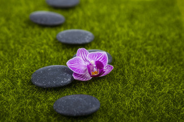 Fototapeta na wymiar Spa stones and orchid on green grass