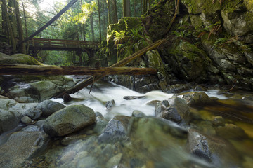A small bridge spans the beautiful Cypress Creek in West Vancouver BC Canada.
