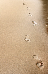 Fototapeta na wymiar Footprints of bare feet on wet sand along the edge of the sea