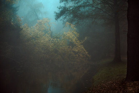 Der gefallene Baum © photoenchen