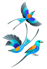 Stylized Birds - Abyssinian Roller