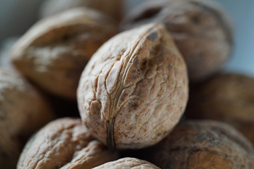 Walnuss close up