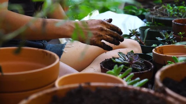 An attractive young native woman uses her hands to scoop potting soil and plant herbs and succulent plants in red clay pots, while kneeling on a rustic deck with a lush jungle background.