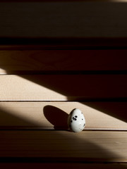 Quail egg on a wooden table
