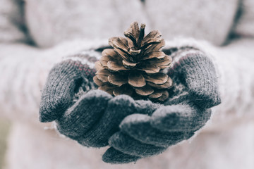 Girl holding pine cone in her hand. Winter decoration. 