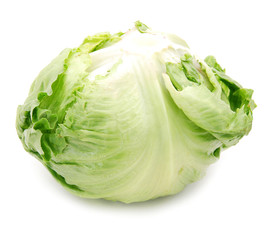 Iceberg lettuce isolated on white