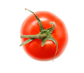 Single ripe tomato isolated on white background